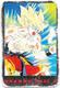 Delcampe - LOT De 86 Cartes DRAGONBALL Z - Collection Dragon Ball Serie 2 1989 - - Dragonball Z