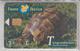 SPAIN 1997 FAUNA IBERICA TORTUGA MEDITERRANEA TURTLE - Tortues