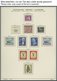 SAMMLUNGEN **, 1955-1989, Komplette Postfrische Sammlung Berlin Im Schaubek Album, Prachterhaltung - Altri & Non Classificati