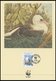 SONSTIGE MOTIVE WWF - Grußkarten, 24 Verschiedene Karten Von 1984-91 Mit Umschlägen, Prachterhaltung, Hoher Anschaffungs - Non Classificati