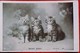 Cpa Chat , PETITS CHATS , CHATONS YEUX AU CIEL , 1905 , CAT . 3 CUTE KITTEN BRIGHT EYES   EDITEUR ROTARY PHOTO - Chats