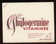 BUVARD: GHYTOGERMINE - FORMAT 10,5X13,5 Cm - Produits Pharmaceutiques