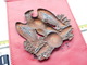 BELLE PLAQUE DE SHAKO 19° SIECLE .......... - Uniformes