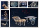 CINA - CHINA - CARTOLINA INTERO POSTALE - 2009 - Cartoline Postali