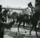 Positif Stéréo . Montpellier 10 Juin 1905 . Le Général Joffre Et M. Laissac Président Du Conseil Général . - Stereoscopic