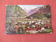 Village Of Interlachen Interlaken  Switzerland    Ref 3171 - Interlaken