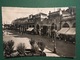 Cartolina Novi Ligure - Portici Piazzale Stazione - 1961 - Alessandria