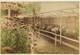 2 Photos Du Japon - XIXéme Sur Papier Albuminé  - 1) CHRYSANTERIUM AT TOKIO - 2) JAPONAISE A L'OMBRELLE - Anciennes (Av. 1900)