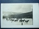 Militaria ,carte Photo à Situer ,attelage Chiens De Traineaux Pour Ravitaillement De Montagne ...1917 - Guerre 1914-18