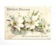 Chocolate Trading Card / Chromo - Chocolat Poulain - Flowers - - Poulain