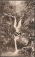 Stock Ghyll Force, Ambleside, Westmorland, 1921 - Frith's Postcard - Ambleside