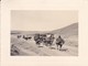 MINI PHOTO----ALGERIE--- 1935--( Caravane Chameaux Dromadaire )--voir 2 Scans - Africa