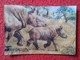 SPAIN ANTIGUO CROMO RARE OLD COLLECTIBLE CARD TIPO HOLOGRAMA 3D MOVIMIENTO RINOCERONTE RHINO RHINOCEROS RHINOS RHINOCERO - Other & Unclassified