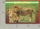 CARTOLINA VG KENIA - KENYA - Wildlife Of East Africa - Lions - 10 X 15 - ANN. 2000 - Kenia