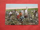 Picking  Cotton Black Americana      Ref 3173 R - Black Americana