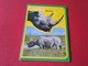 ANTIGUO CUADERNO LIBRETA PARA COLEGIO ESCUELA RINOCERONTE RHINO RHINOCEROS RHINOS RHINOCEROSES FAUNA AFRICANA NOTEBOOK.. - Otros & Sin Clasificación