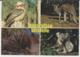 Postcard - Australian Wildlife Four Views - Posted But Date Unreadable Very Good - Unclassified