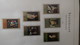 Delcampe - Belle Collection Album LEUCHTTURM D'Allemagne 60 Photos + Le Lot Suivant 60 Photos Soit 120 Photos. A Saisir !!! - Colecciones (en álbumes)