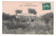 1909 - GRIFFE De GARE " LA MADELEINE " (NICE ?) + CACHET ONDULÉ AMBULANT " PUGET THENIERS À NICE " Sur CP NICE SEMEUSE - 1877-1920: Période Semi Moderne
