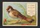 Chromo Liebig RARA S64 1a Edizione A-uccello Bruno Fiore Rosso  DANGIVILLE'- 1878 -OTTIMO STATO - Liebig