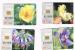 CROAZIA (CROATIA) - CHIP  -  HT 2004 CROATIAN FLORA: COMPLET SET OF 4  12/06 WITH TIRAGE     - USED - RIF. 6664 - Fiori