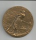 Médaille En Bronze -guerre 14-18 -hommage-titulaire Croix De Feu -diam 65mm - Autres & Non Classés