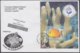 2010-FDC-65 CUBA FDC 2010. REGISTERED COVER TO SPAIN. 50 ANIV ACUARIO NACIONAL, FISH, PECES, FOCA, DOLPHINS, DELFINES. - FDC