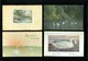 Beau Lot De 20 Cartes Postales De Fantaisie  Cygne  Cygnes   Mooi Lot Van 20 Postkaarten Van Fantasie  Zwaan  Zwanen - 100 - 499 Cartes