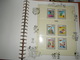Delcampe - Collection , Disney 200 Timbres Neuf Vendu Avec Pages Et Reliure Lindner  Voir Tout Les Scans ( Poids Environ 2 Kg ) - Collections (en Albums)