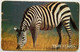 Tanzania 17,000 Shillings " Zebra " - Tanzania