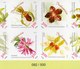 INDONESIA STAMP 2017, FULL SHEET IMPERF ORCHID FLOWERS MS SHEETLET STAMPS, BICENTENARY OF BOGOR BOTANIC GARDEN, RARE - Indonesia