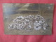 RPPC By French & Son---  Floral Display  New Zealand    Ref 3177 - To Identify