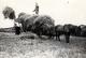 Photo Originale Ferme & Monde Paysan En 1937 - Les Foins Au Champs Et Attelage à Cheval - Action & Fourche - Métiers