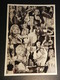 19889) MARILYN MONROE COLLAGE CARTOLINA GRANDE PUBBLICITARIA FILM - Donne Celebri