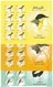 Qatar 2009, Birds 6 Stamps In Complete 6 Sheetlet Of 8 Stamps UNFOLDED MNH - Nice Topical In 2 Scans,REDUCED PRICE-SKRIL - Qatar