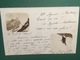 Cartolina Valtournenche - 1904 - Altri & Non Classificati