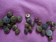 Delcampe - Lot De Boutons Militaria Marine Sapeur Pompier Et Autres..... - Boutons