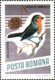 USED STAMPS Romania - Songbirds	-1966 - Gebruikt
