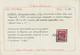 Dt. Besetzung II WK - Laibach: 1944, 20 L Auf 20 C Rot, Aufdruck II Schwarzgrün, Mit KOPFSTEHENDEM W - Occupation 1938-45