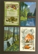 Delcampe - Beau Lot De 60 Cartes Postales De Fantaisie Paysages Paysage Mooi Lot Van 60 Postkaarten Fantasie Landschappen Landschap - 5 - 99 Cartes