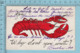CPA Homard - Why Dont You Write ? - A Servie Vers  1906 - Post Card Carte Postale - Autres & Non Classés