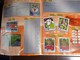 Delcampe - Panini * Stickers Album * Futebol 2002-2003 Portugal * With Rare Cristiano Ronaldo Sticker * Used Album *miss 1 Sticker - Autres & Non Classés