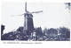 Evergem: Doornzelemolen ( 2 Scans) - Evergem