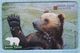 RUSSIA / YEKATERINBURG / URALTELECOM / Fauna Of The Urals. Brown Bear / 100 UNITS/ Phonecardю 2002 - Russie
