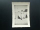 Delcampe - WENDUYNE OSTENDE FLANDRE  LITTORAL BELGIQUE PLAGE MER LOT 33 PHOTOS ORIGINALES ET 2 CARTES - PHOTOS  ANNÉES 1914 À 1960 - Persone Anonimi
