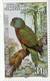 Delcampe - Lote J1, Jersey, 1985, Sello, Stamp, 6 V, Wildlife Preservation, Snake Reptile Bird Tiger Monkey - Jersey