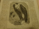 Delcampe - Revue La Ruche Parisienne Reliee Du 02/01/1864 N°375 Au 15/10/1864 N°416 - Magazines - Before 1900