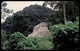 ÄLTERE POSTKARTE SELVA PALENCANA CON RUINAS MEXICO MEXIQUE SELVA PALENQUE TEMPLO DE LAS INSCRIPCIONES CHIAPAS Postcard - Mexique