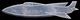 COUPE PAPIER / PAPER KNIFE In ALUMINIUM - MADE FROM DEBRIS Of U. S. PLANE SHOT DOWN OVER VIETNAM ~ 1965 - '70 (ab016) - Apri Lettere