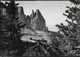 DOLOMITI - ALPE DI SIUSI - LO SCILIAR - FOTOEDIZ. GHEDINA - NUOVA - Alpinismo